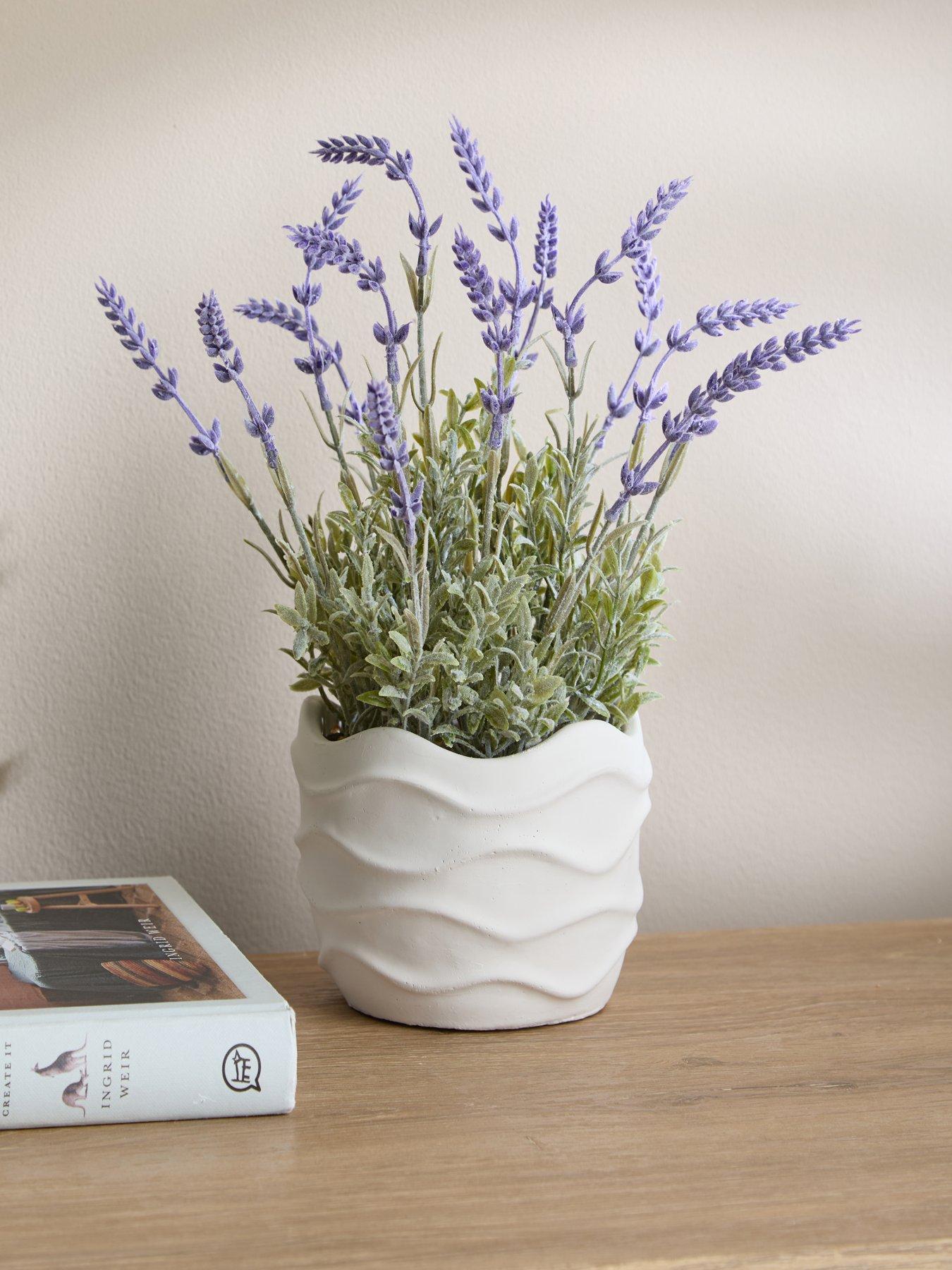 The Very Collection 33cm Lavender In Wavy Cement Pot