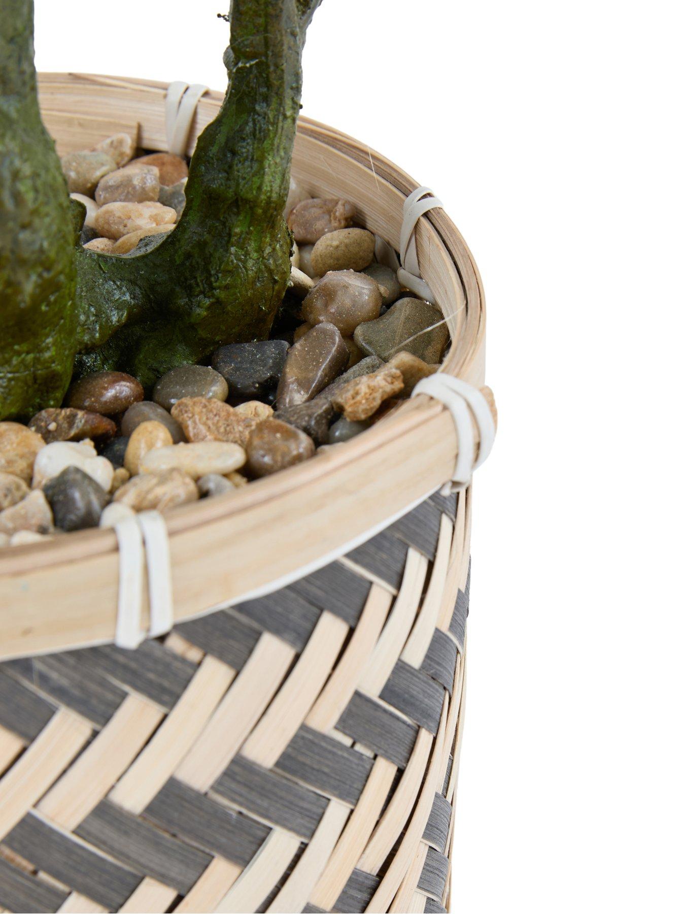 Image 7 of 7 of The Very Collection 90cm Fig Tree In Bamboo Basket