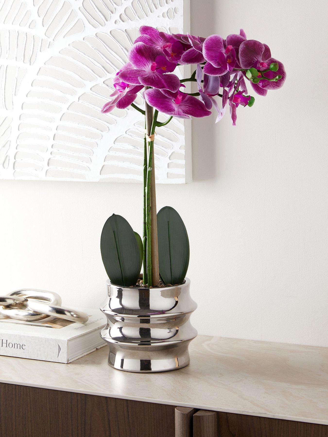 The Very Collection Purple Orchid In Pot