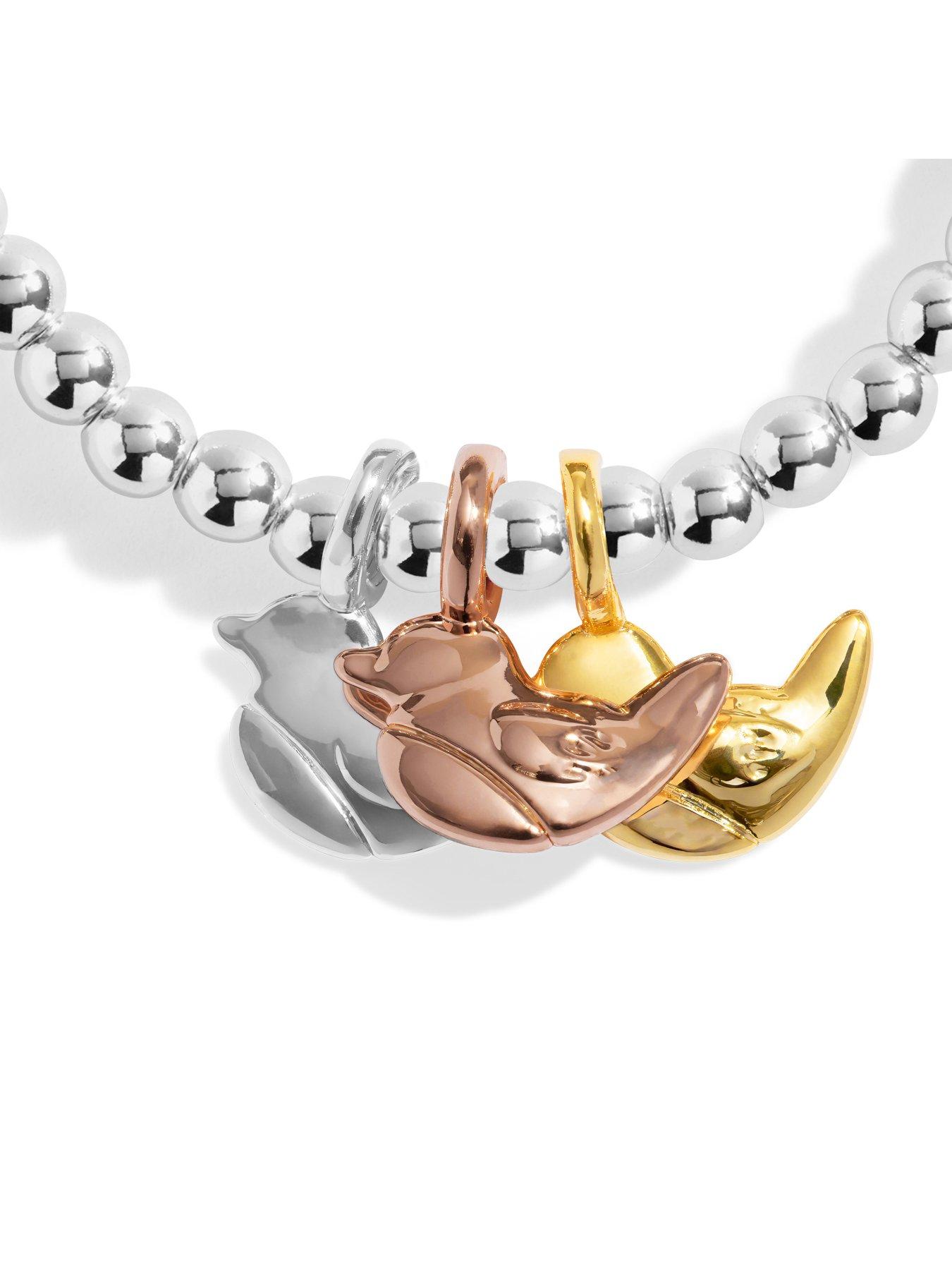 Image 4 of 5 of Joma Jewellery A Little Charmed Moments Robins Appear When Loved Ones Are Near Bracelet