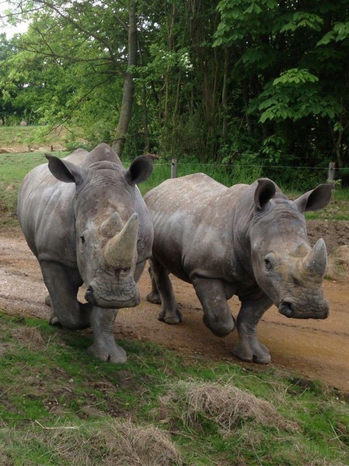Image 2 of 5 of Virgin Experience Days Chessington World of Adventures Visit for Two, Surrey