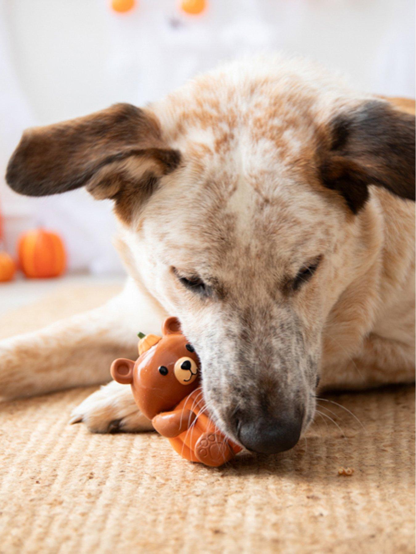 Image 6 of 7 of Rosewood Pumpkin snuffle Cup/Fall Bear Latex Dog Toy Bundle