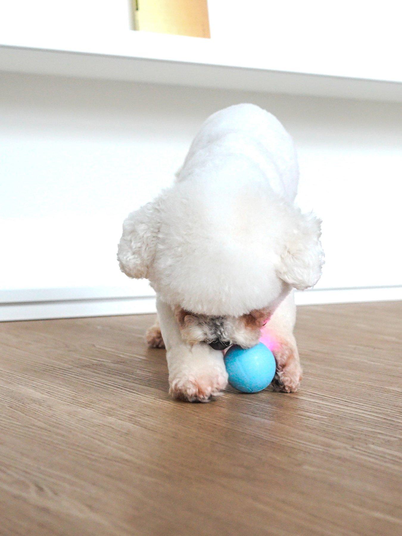 Image 1 of 6 of Cheerble Wicked Ball SE Blue