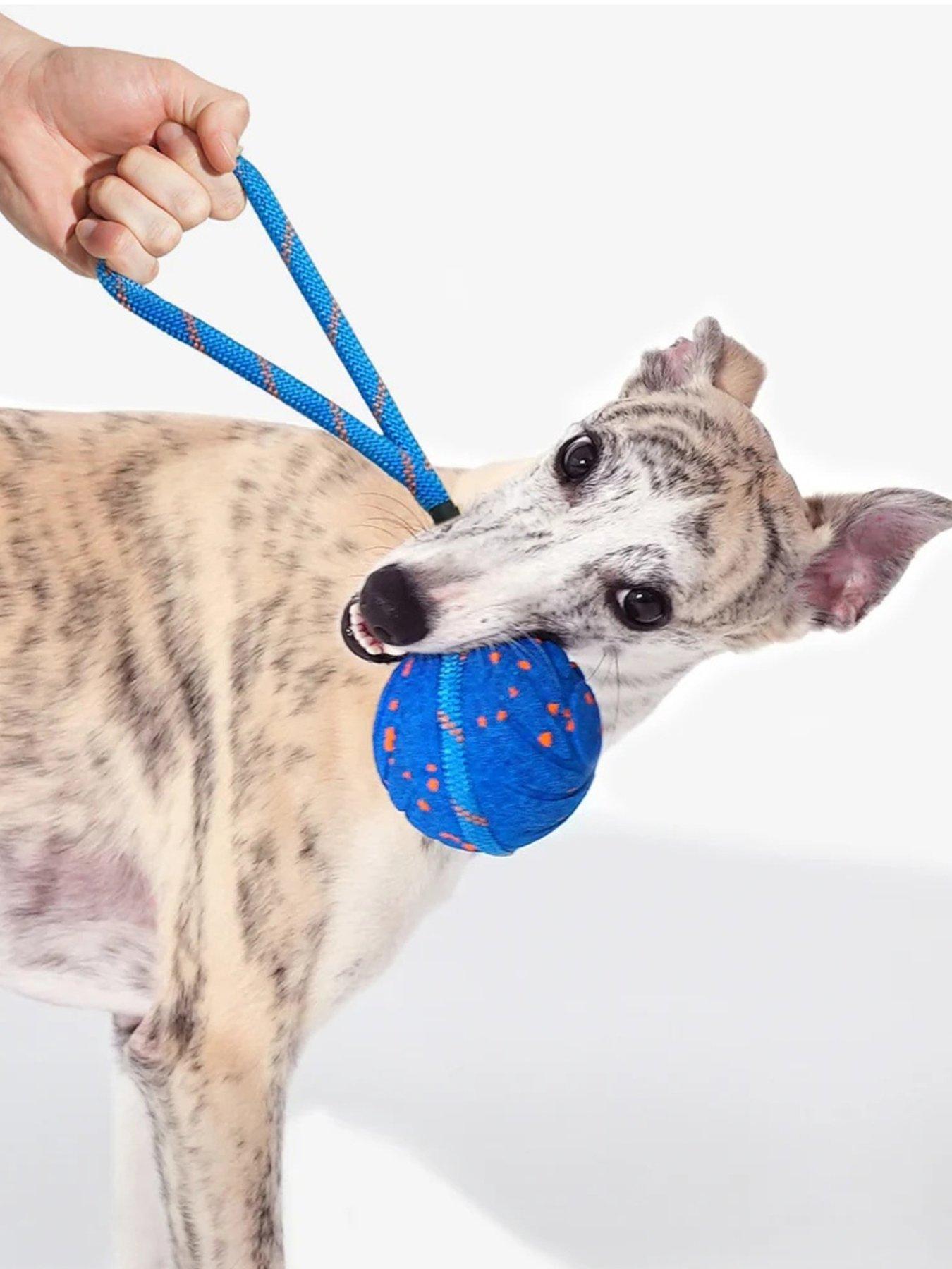 Image 1 of 7 of Cheerble Wicked Ball Air Rope