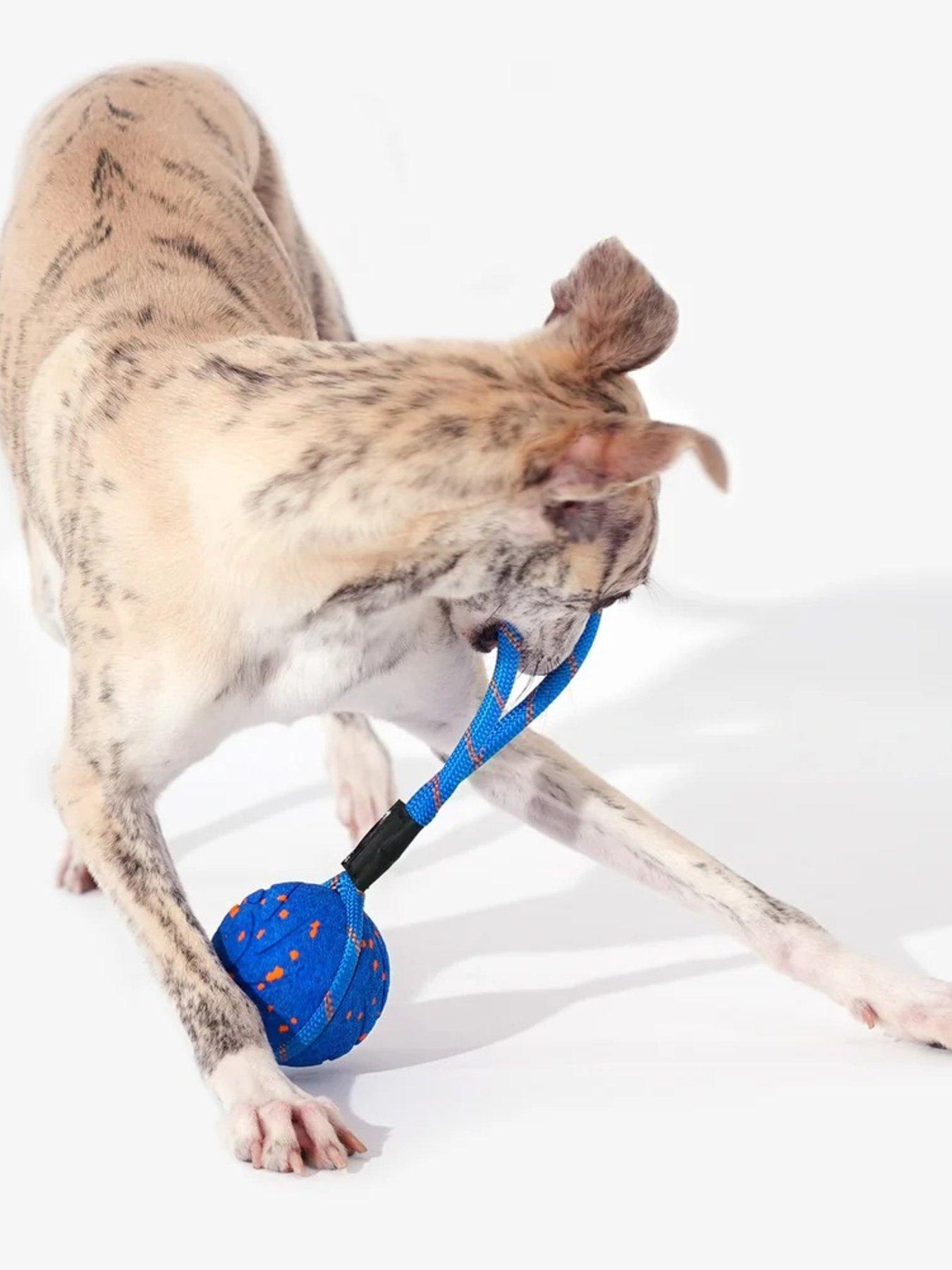 Image 7 of 7 of Cheerble Wicked Ball Air Rope
