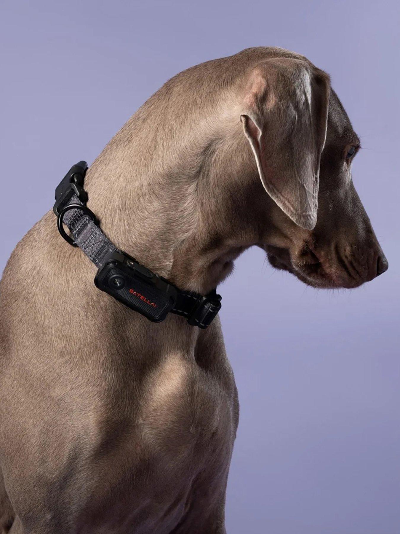 Image 2 of 4 of Stellai SATELLAI Collar Go Smart GPS Dog Collar with Live Tracking & Health Monitoring