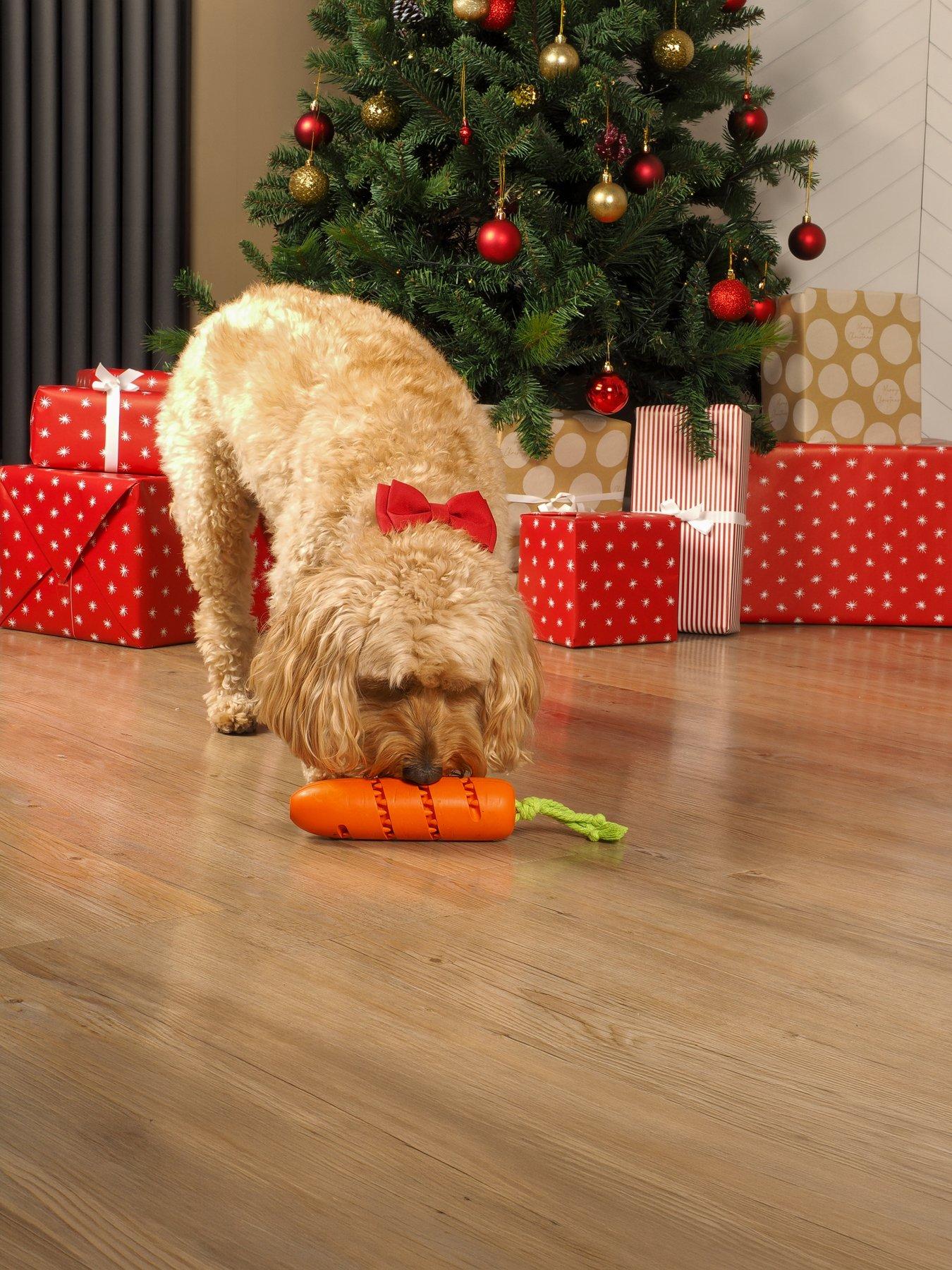 Zoon Carrot Treat Dispenser, Mail Order