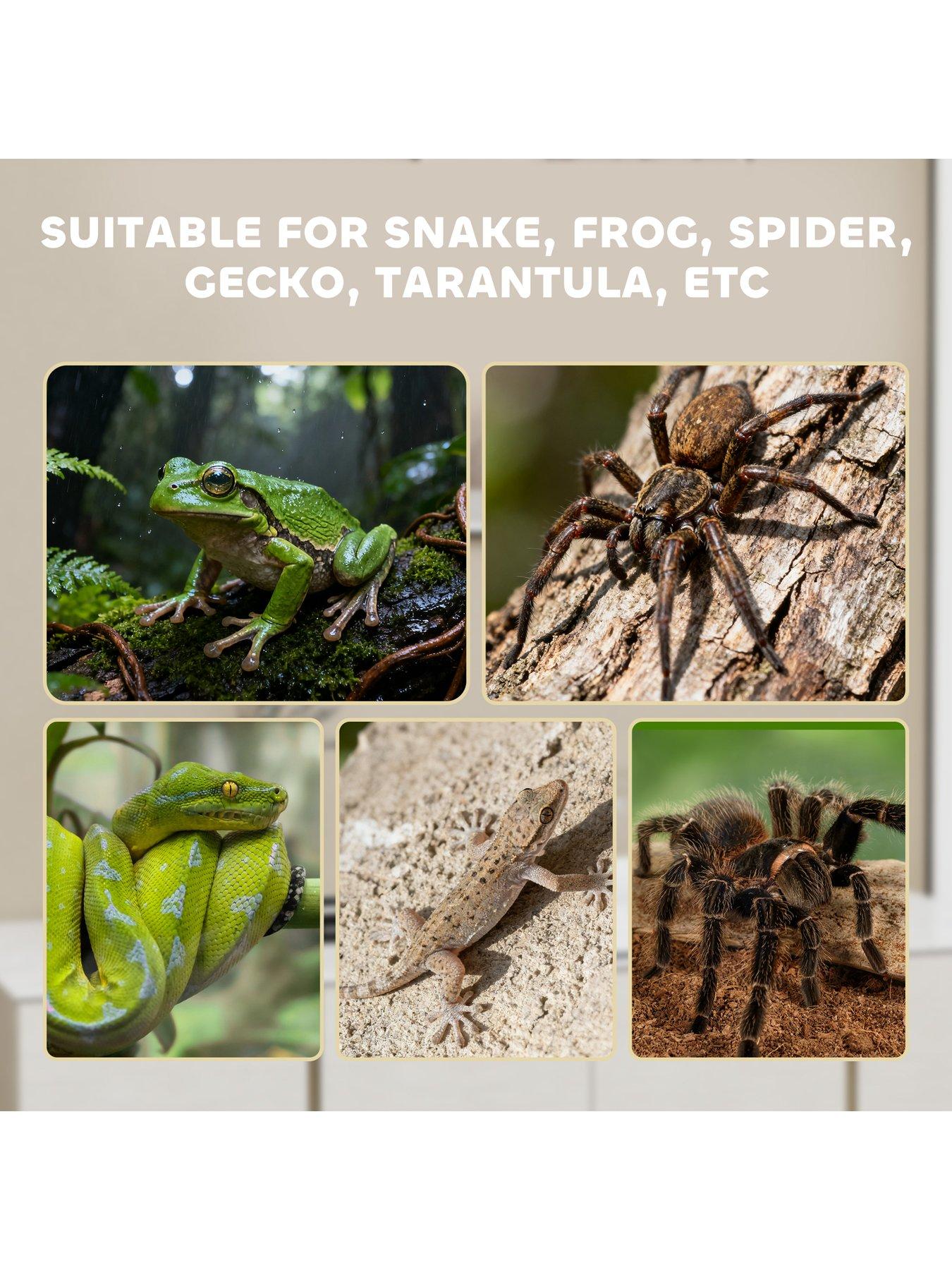 Image 7 of 7 of PawHut Reptile Terrarium, 360&deg; Acrylic&nbsp;Breeding Box with Vents and&nbsp;Top Sliding Door&nbsp;for Snake, Frog, Spider, Gecko, Tarantula, Stick Insect, Praying Mantis - 40 x 30 x 15cm