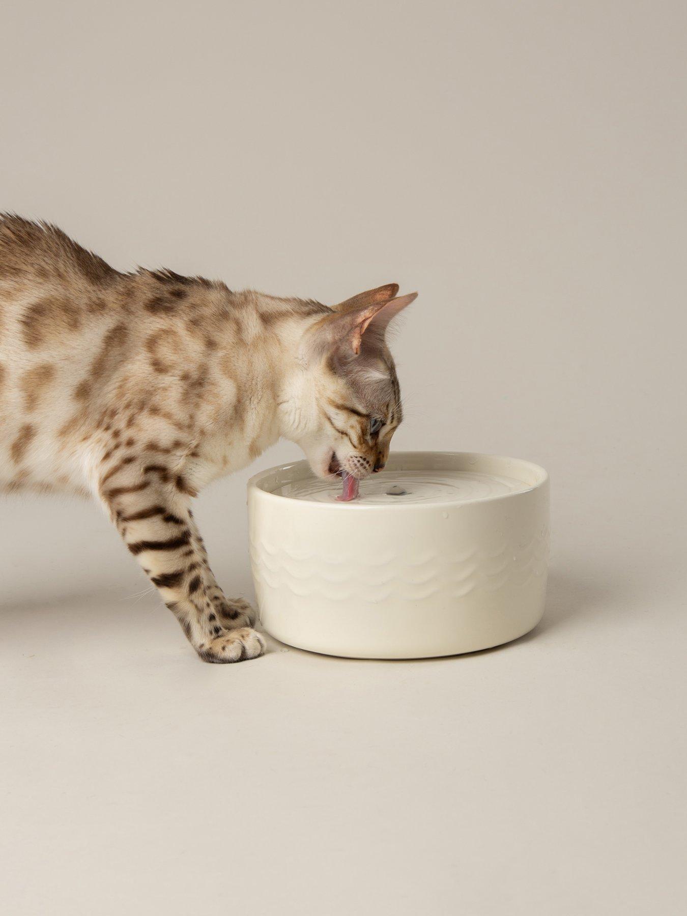 Scruffs Icon Cat Fountain - 20cm