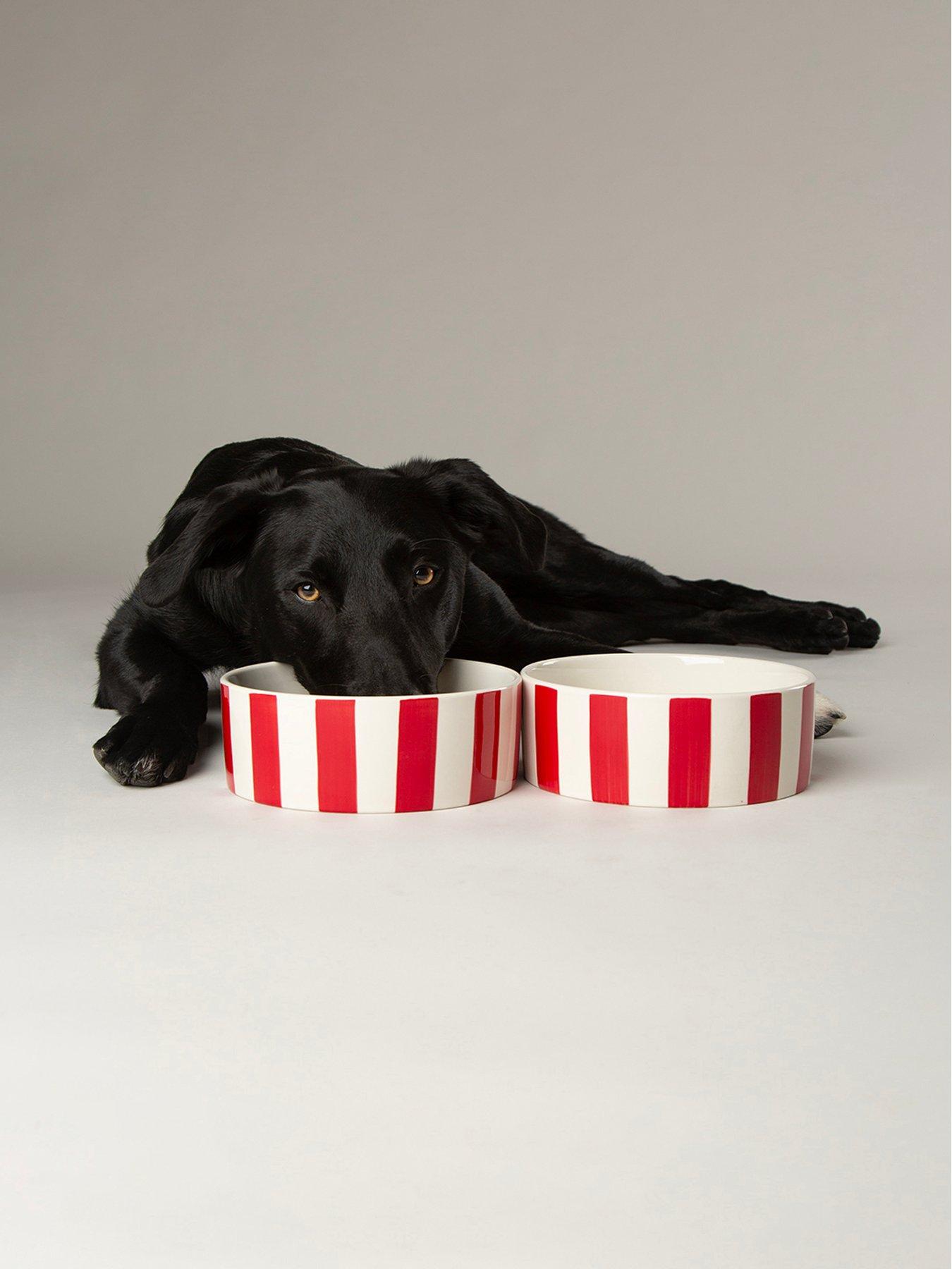 Scruffs Amalfi Stripe 2pc Food Bowl Set - 19cm