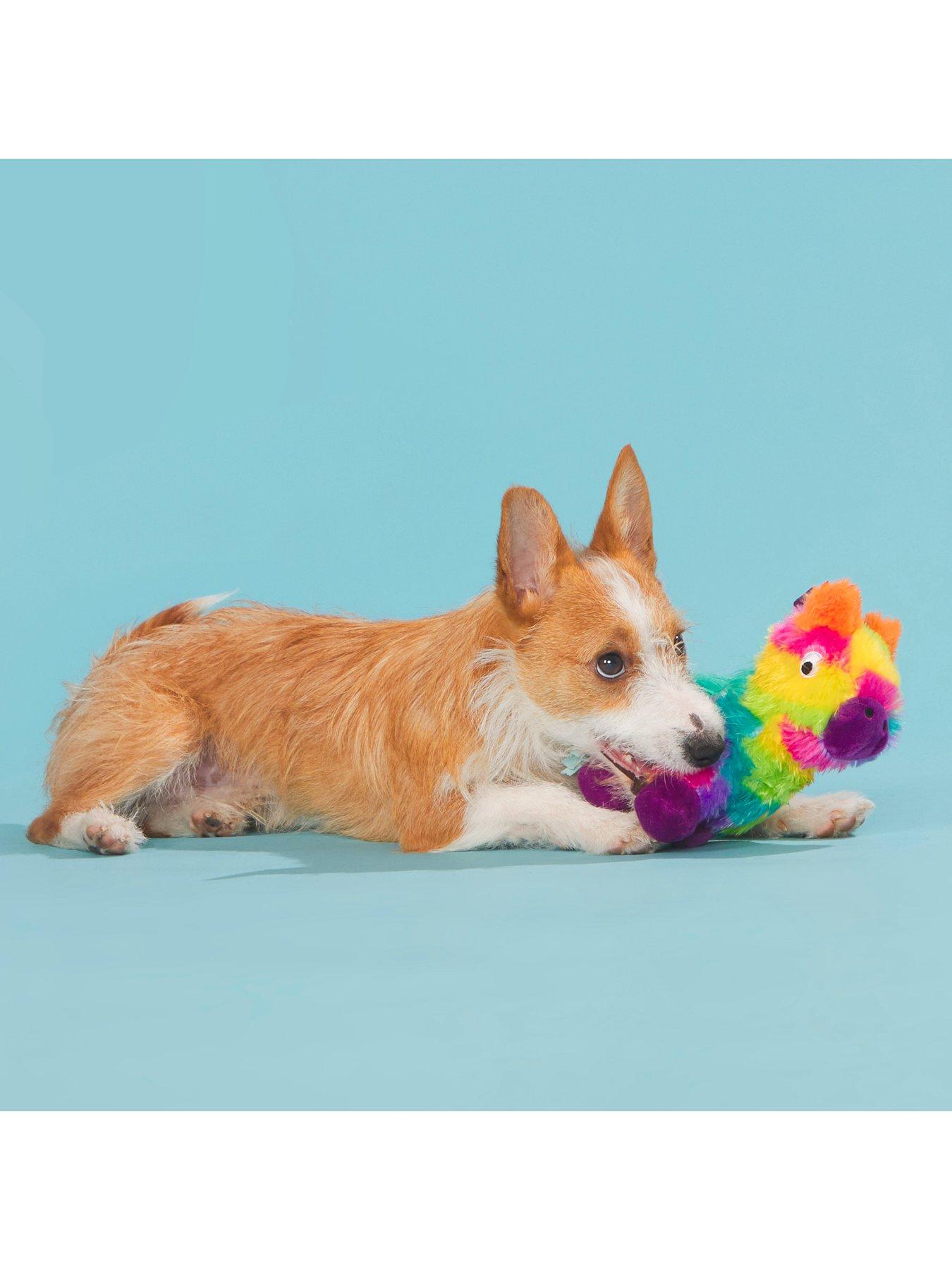Image 6 of 6 of Bark Full O' Fluff Pinata  Dog Toy