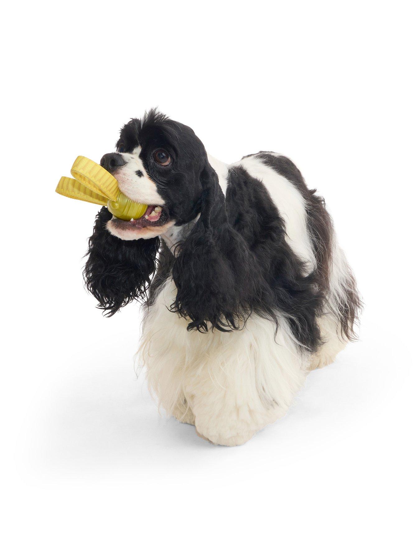 Image 6 of 6 of Bark The Golden Snitch Dog Toy