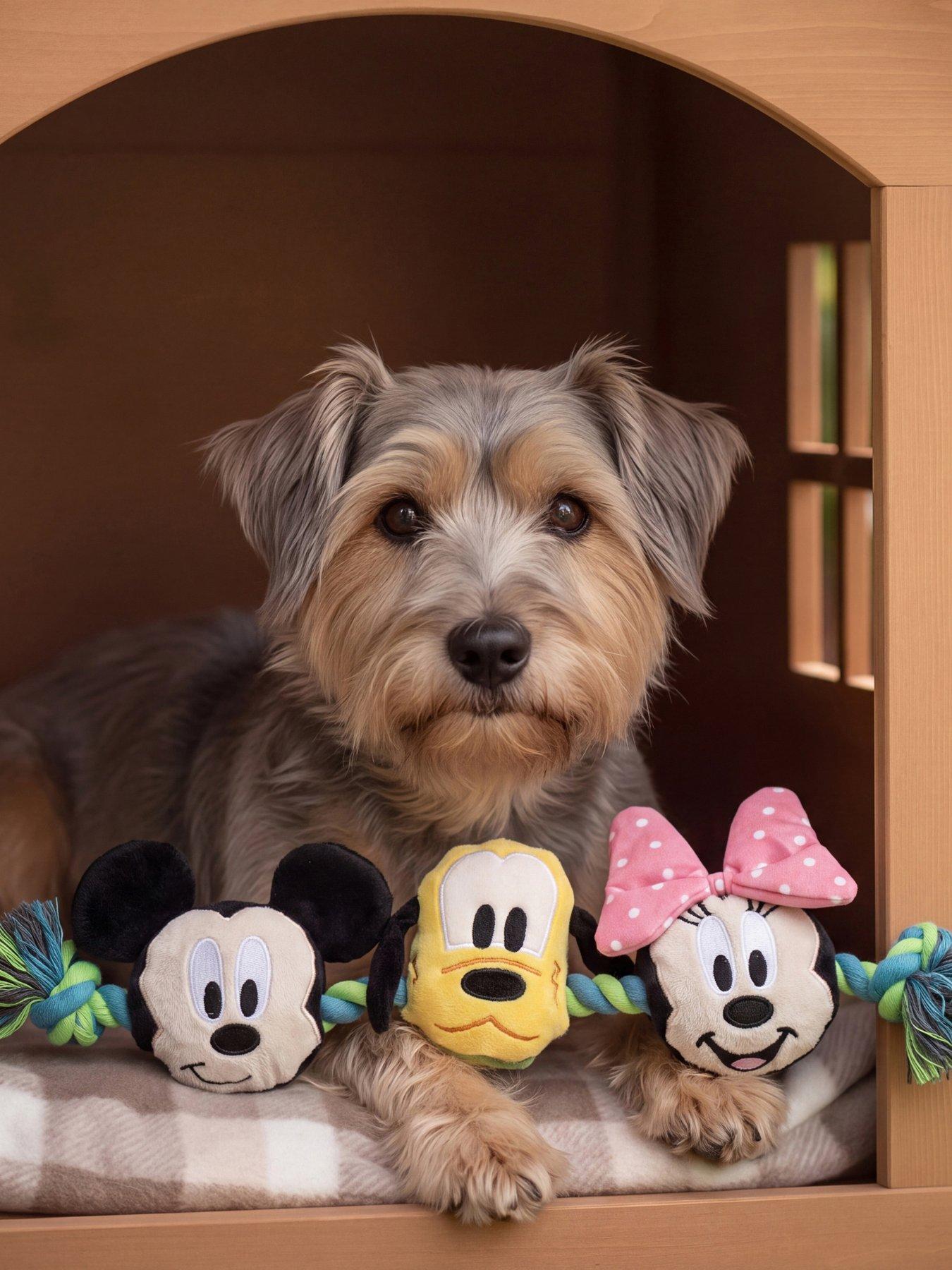 Disney Rope Toy