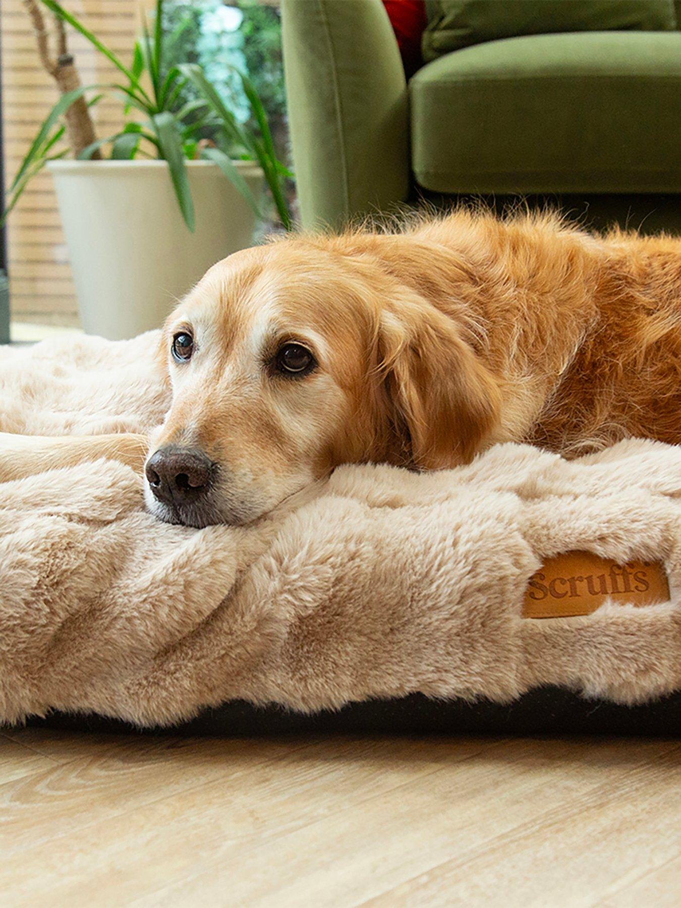 Image 3 of 7 of Scruffs Alpine Mattress Champagne - Large