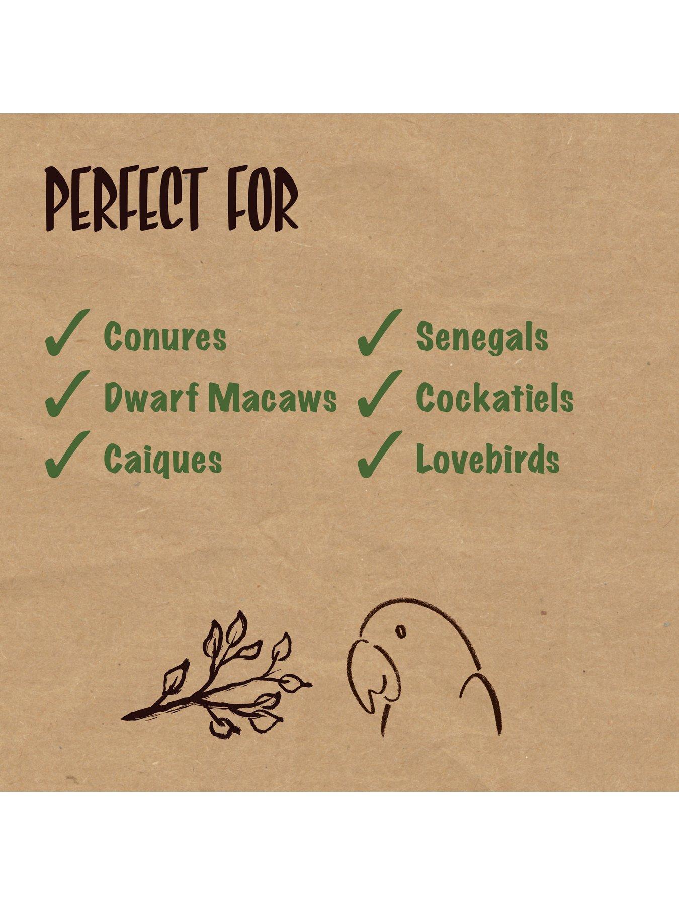 Image 5 of 7 of Rosewood Naturals Lantern Duo Forager Bird Toy