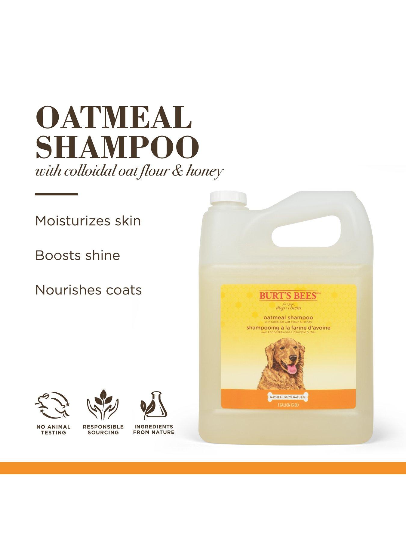 Image 3 of 5 of Burts Bees Burt's Bees Oatmeal Shampoo for Dogs 16oz