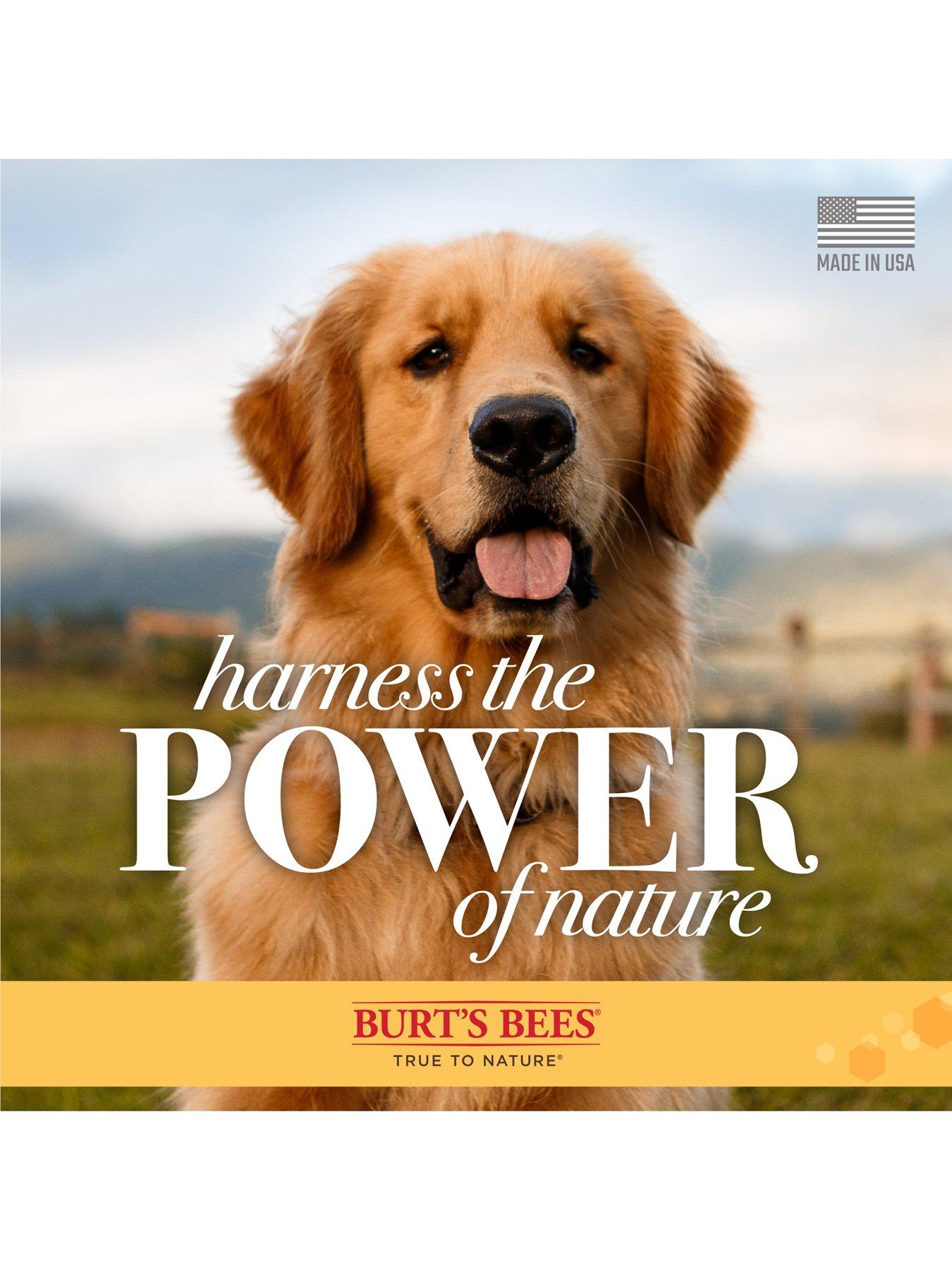 Image 5 of 5 of Burts Bees Burt's Bees Oatmeal Shampoo for Dogs 16oz