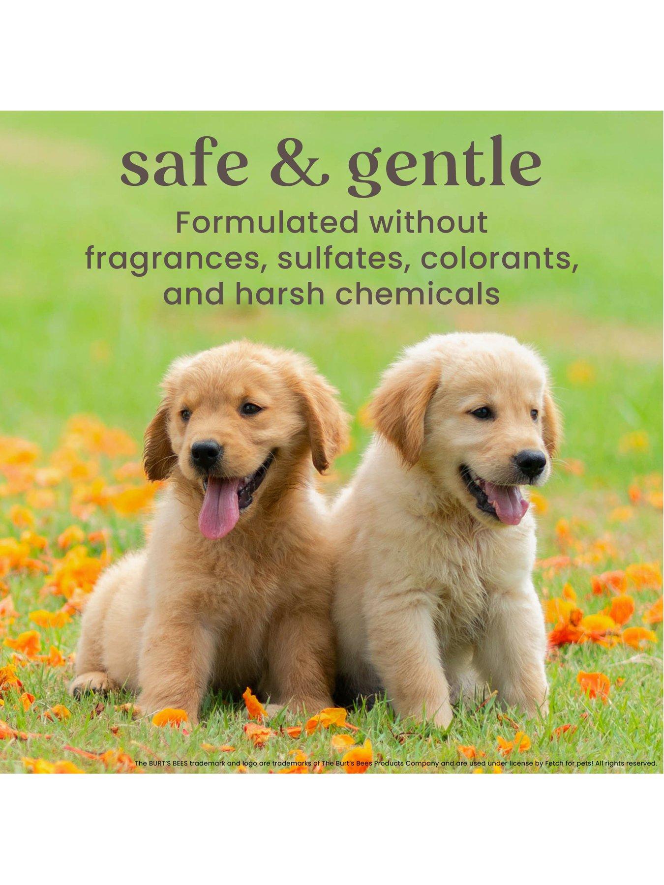 Image 4 of 4 of Burts Bees Burt's Bees Oatmeal Dog Conditioner for Dogs 10oz
