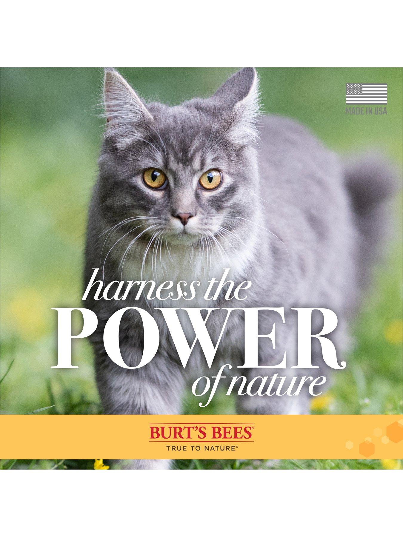 Image 4 of 4 of Burts Bees Burt's Bees Waterless Shampoo for Cats 10oz