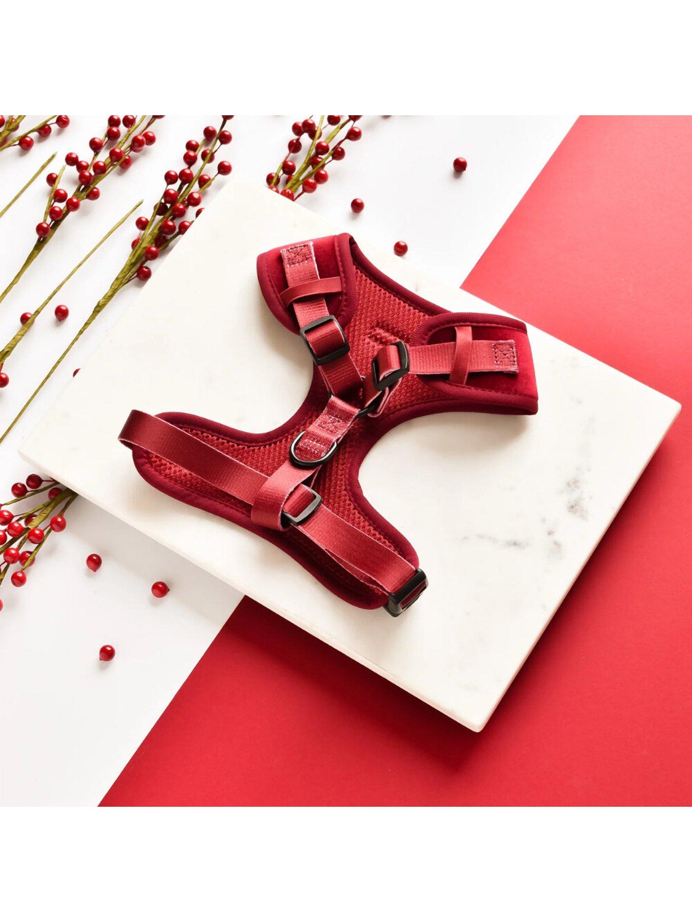 Image 2 of 6 of Cocopup Velvet Adjustable Neck Harness - Berry Red