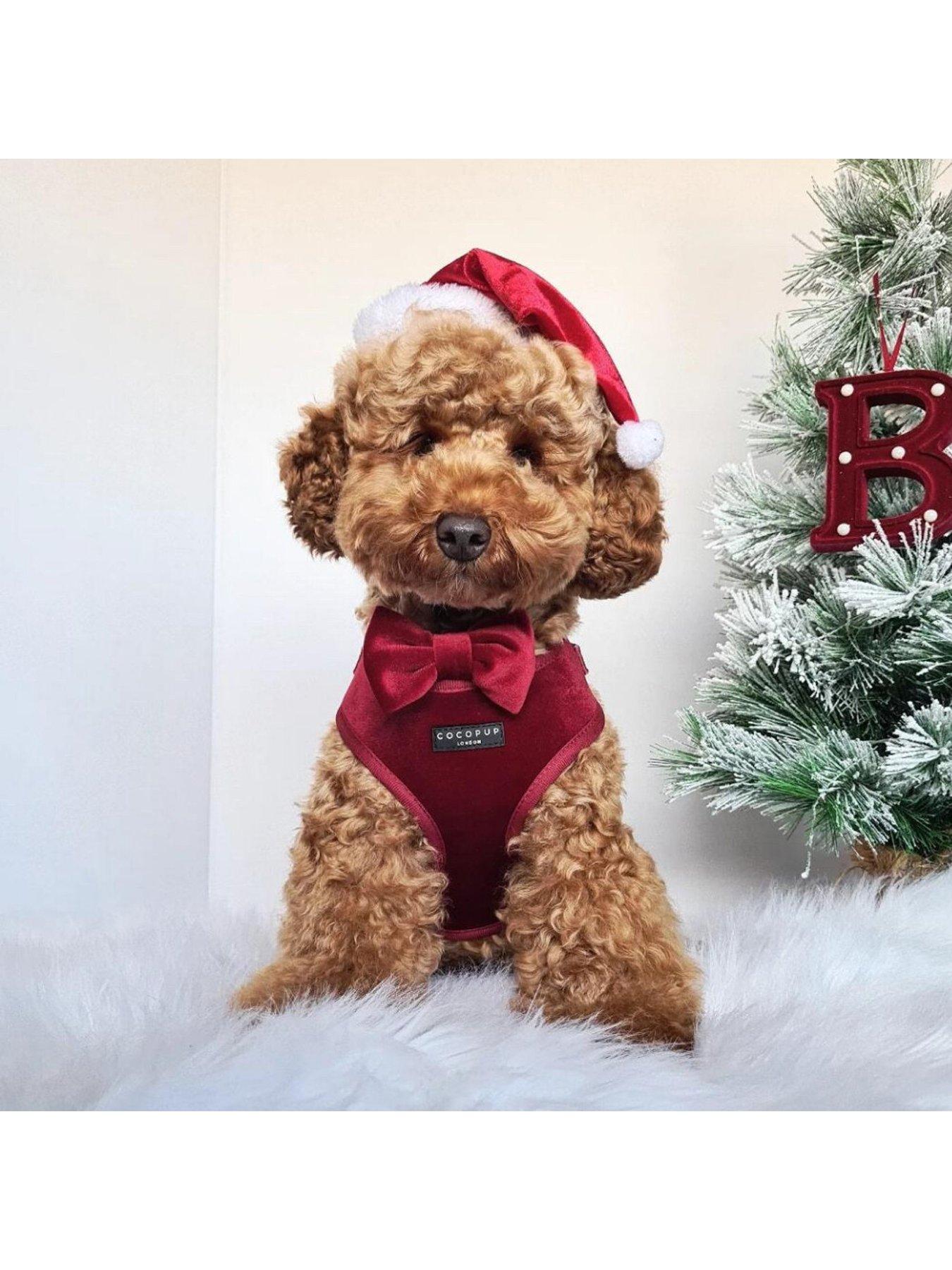 Image 4 of 6 of Cocopup Velvet Adjustable Neck Harness - Berry Red