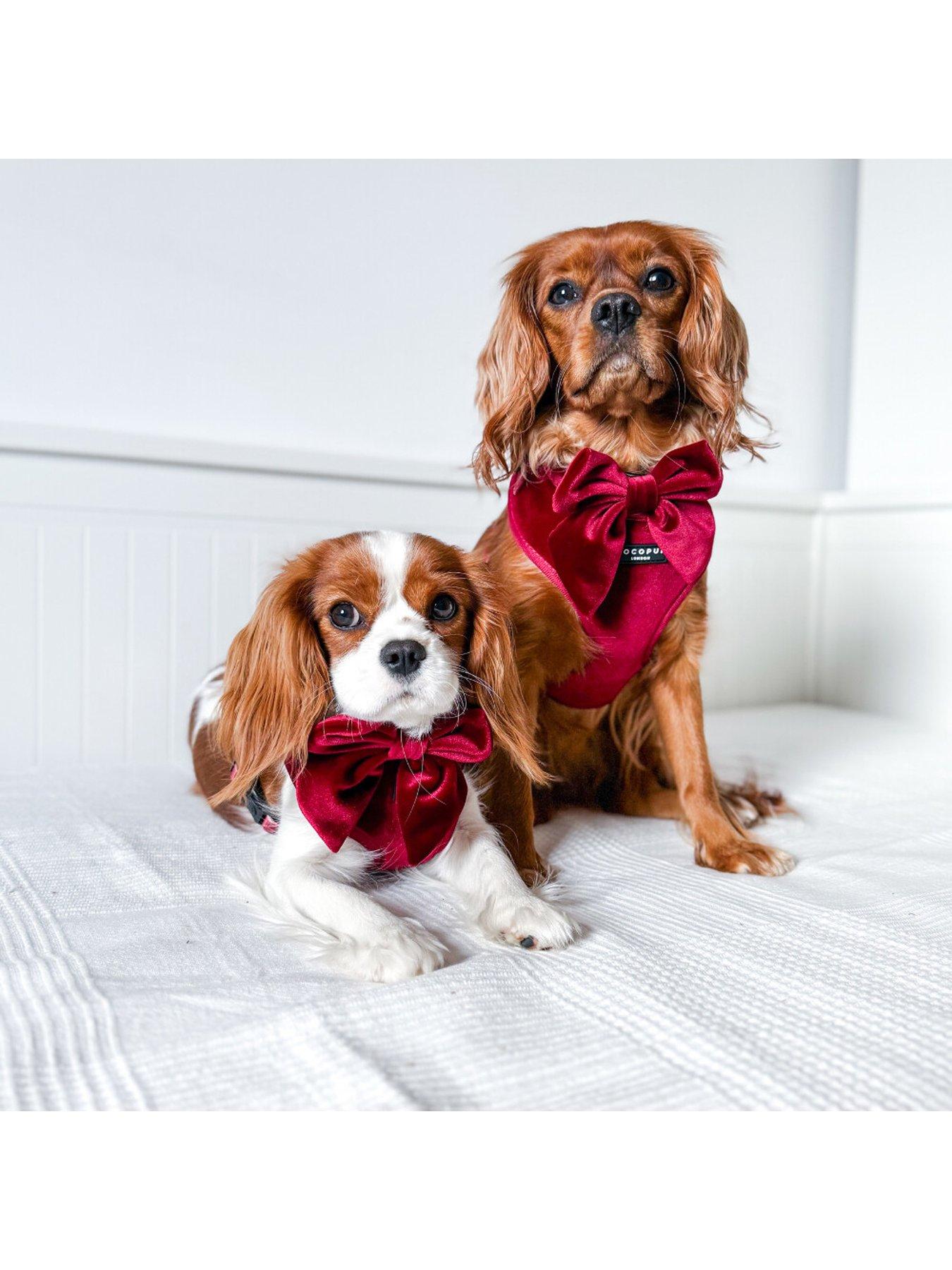 Image 6 of 6 of Cocopup Velvet Adjustable Neck Harness - Berry Red