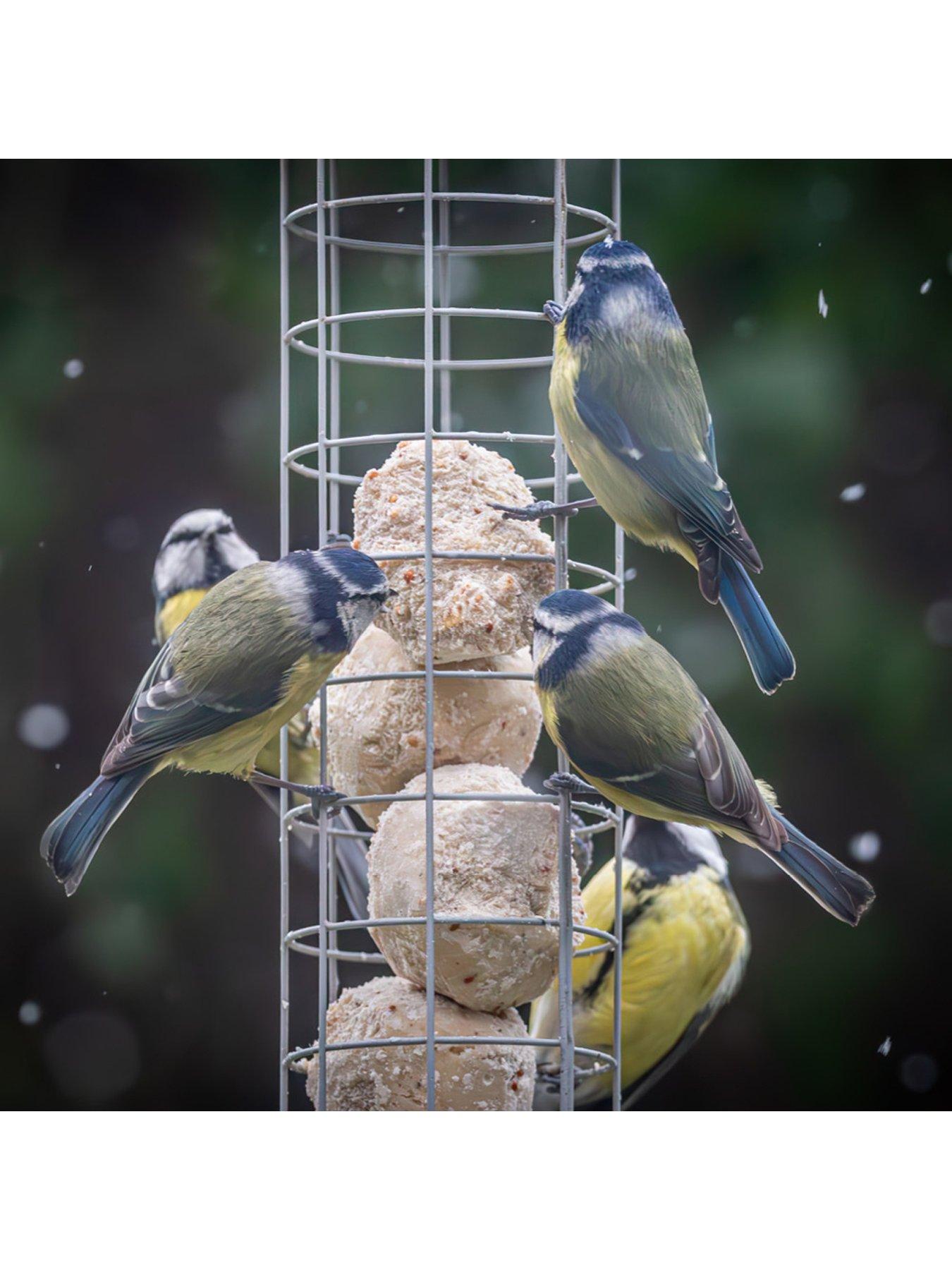 Image 1 of 3 of You Garden Suet Balls x 50