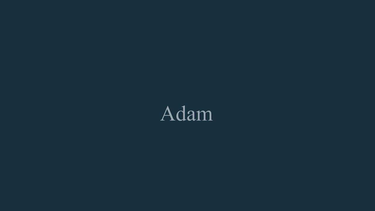 Video of adam-fires-fireplaces-adam-sahara-electric-inset-media-wall-fire-with-remote-control-1500mm