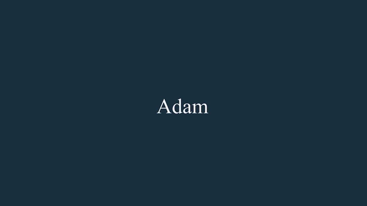 Video of adam-fires-fireplaces-adam-blenheim-electric-fire-in-brass