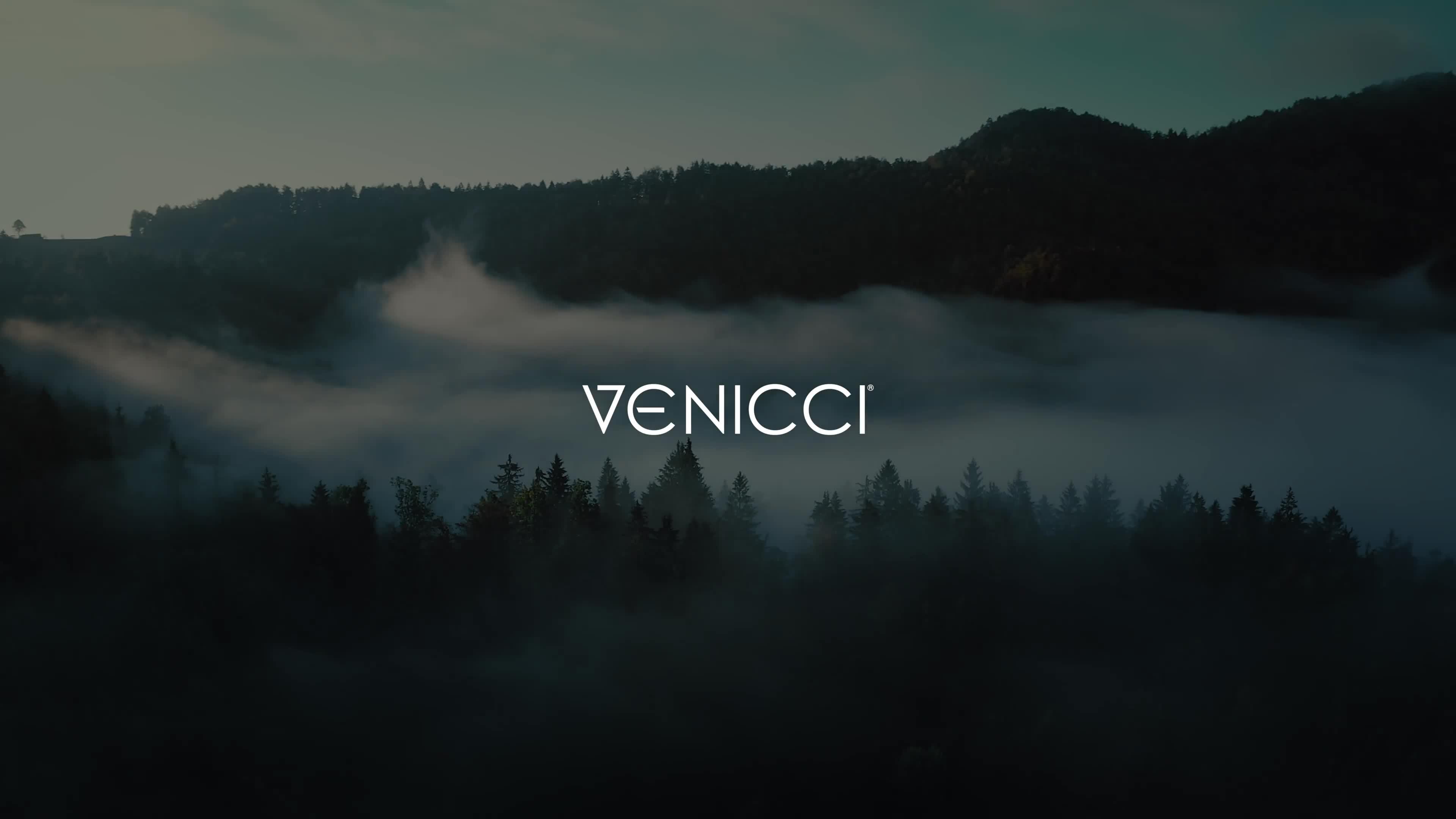 Image thumbnail 8 of 8 of Venicci Tinum Edge 3in1 Plus Base Special Edition - Raven
