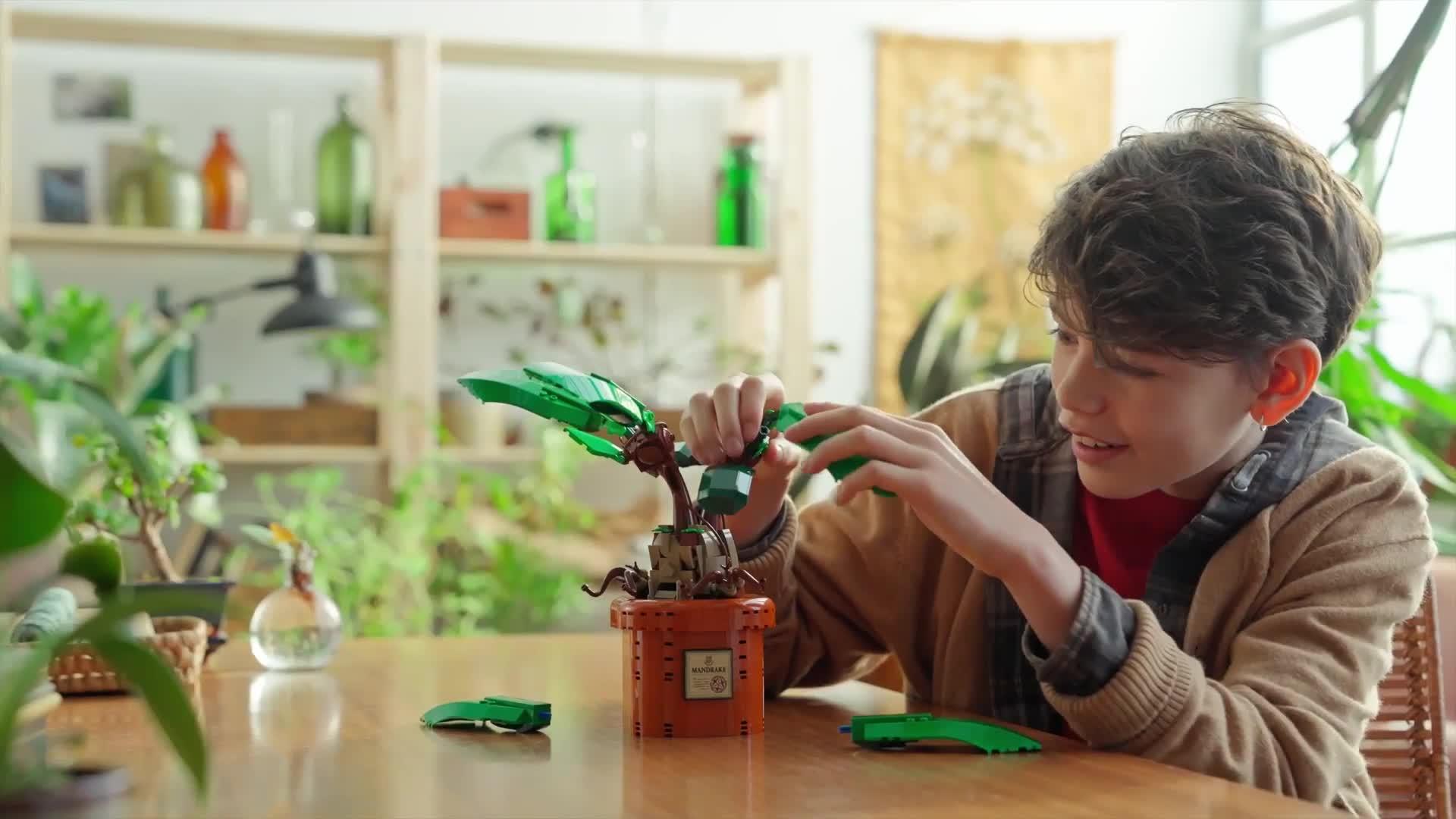Video of lego-harry-potter-mandrake-magical-plant-toy-76433