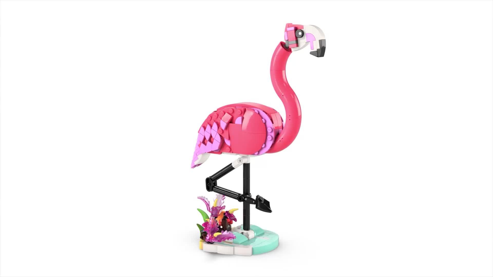 Video of lego-creator-3in1-wild-animals-pink-flamingo-animal-toy-playset-31170