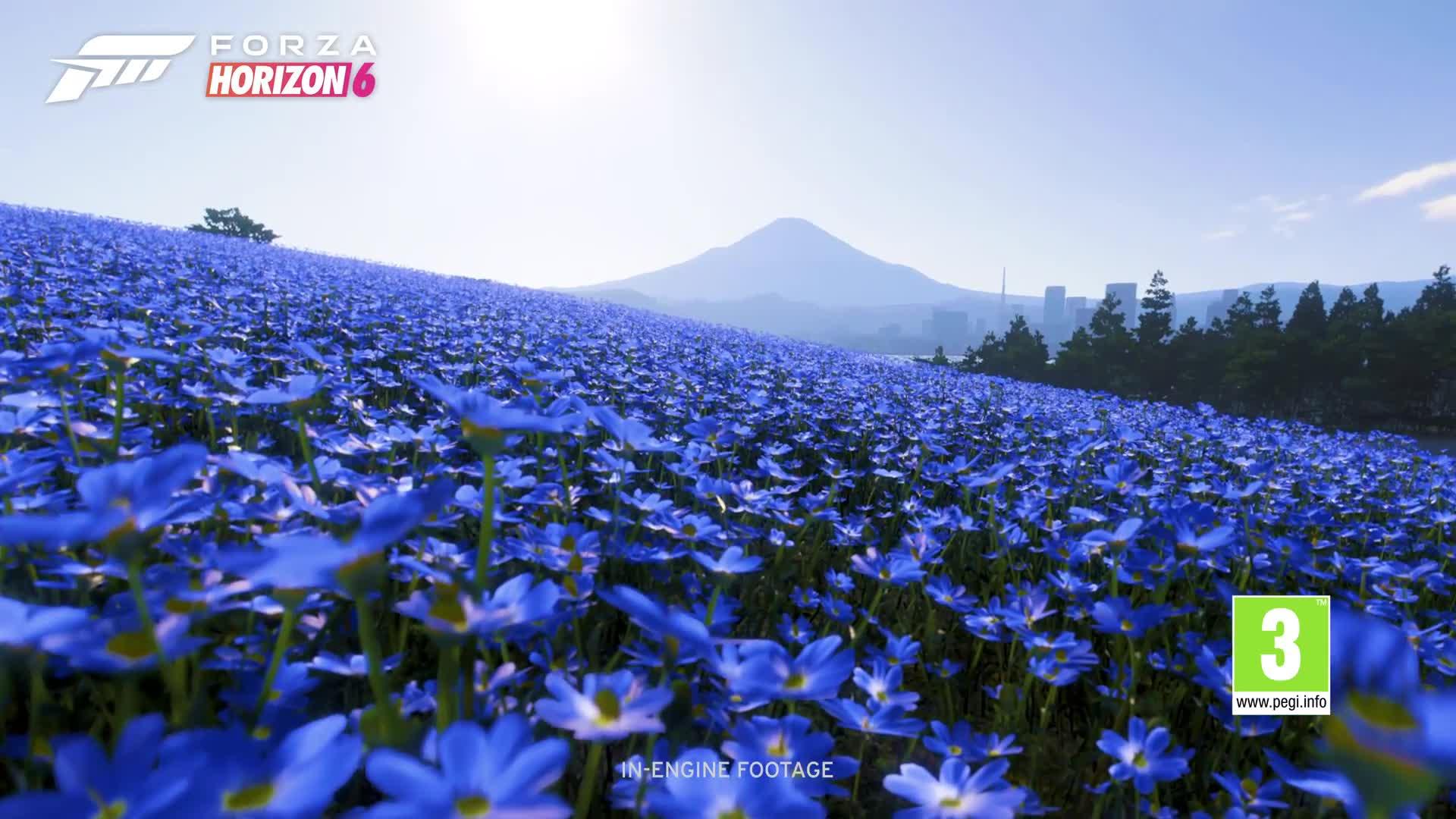 Image thumbnail 8 of 8 of Xbox Forza Horizon 6