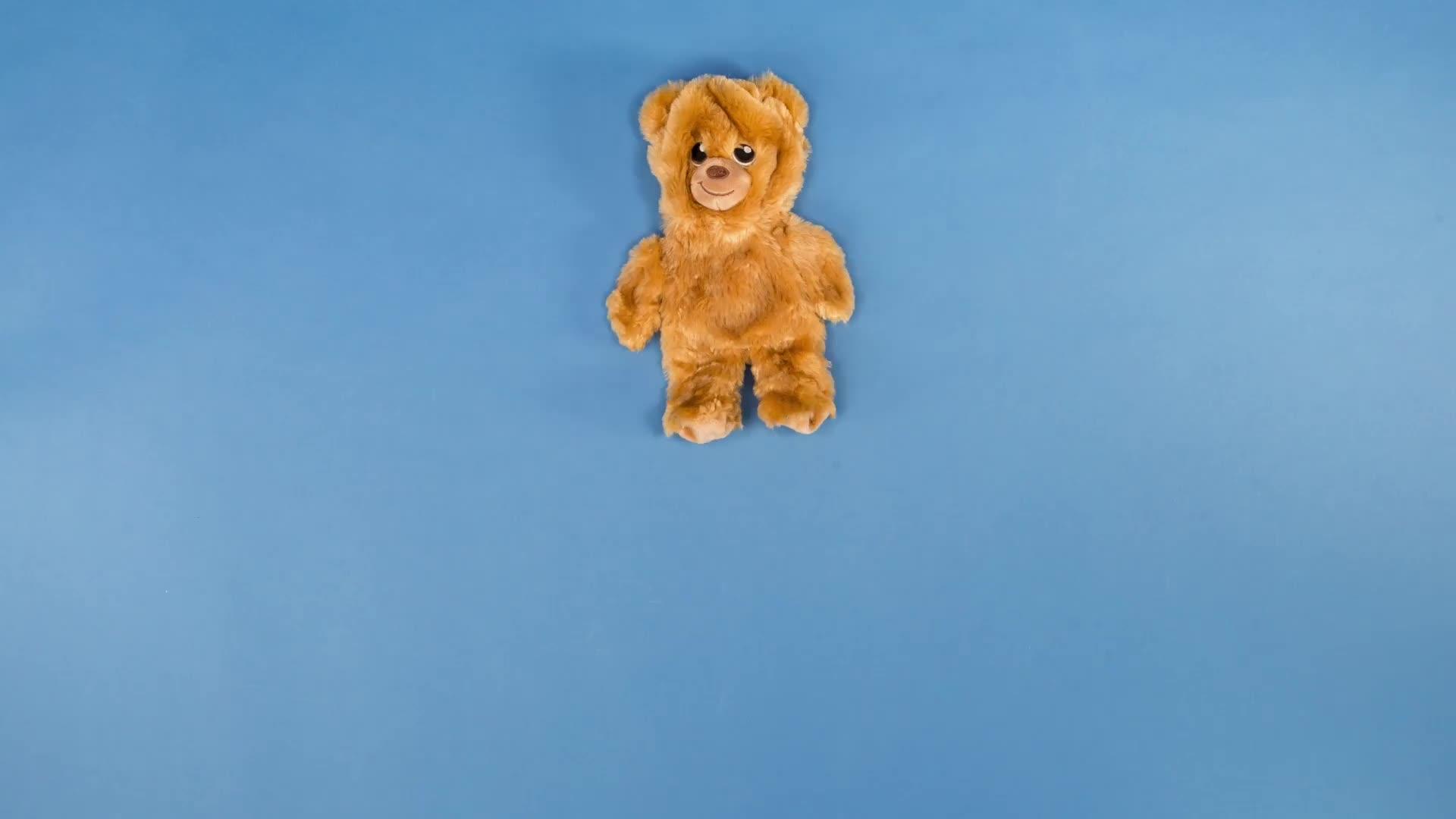 Video of casdon-toy-build-a-bear-workshop-furtastic-bear-and-outfit-pack-rainbow