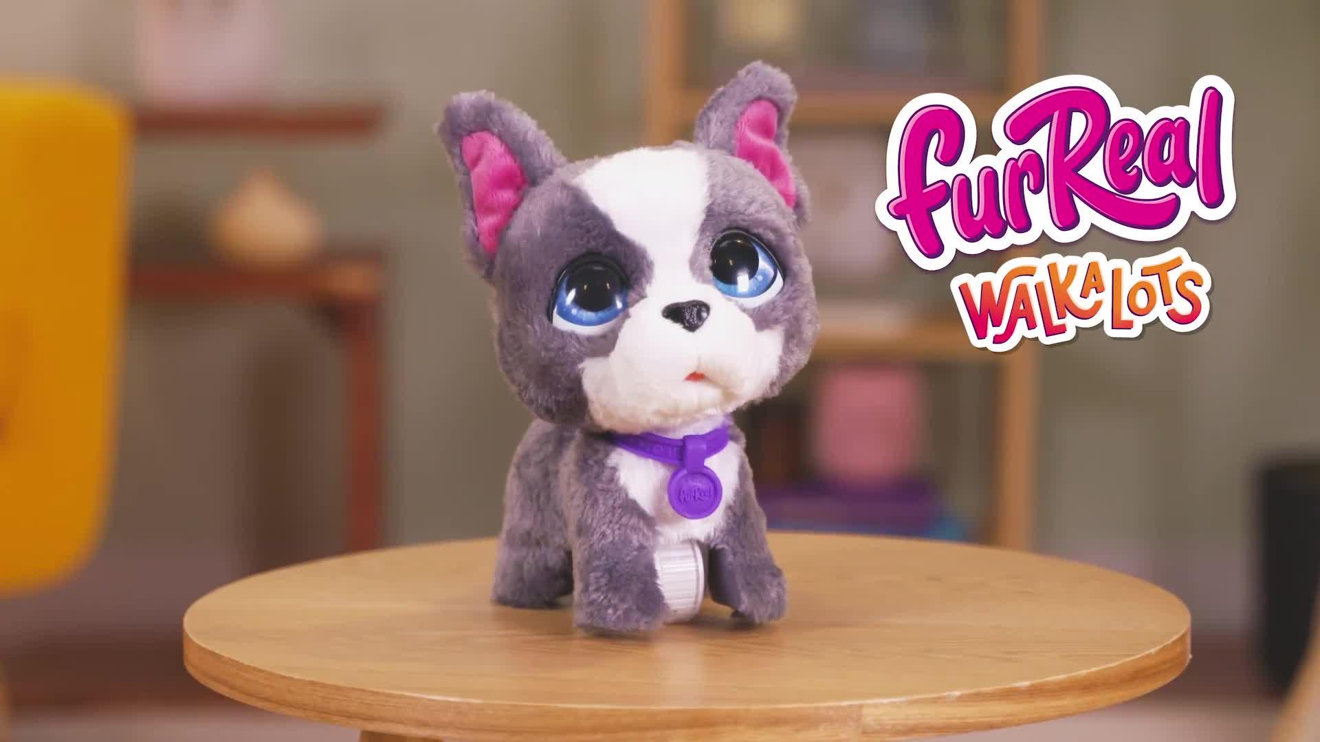 Image thumbnail 7 of 7 of FurReal Friends furReal Walk-a-lots Frenchie