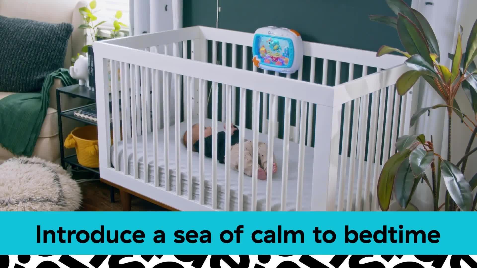 Video of baby-einstein-sea-dreams-soother-sleep-soother