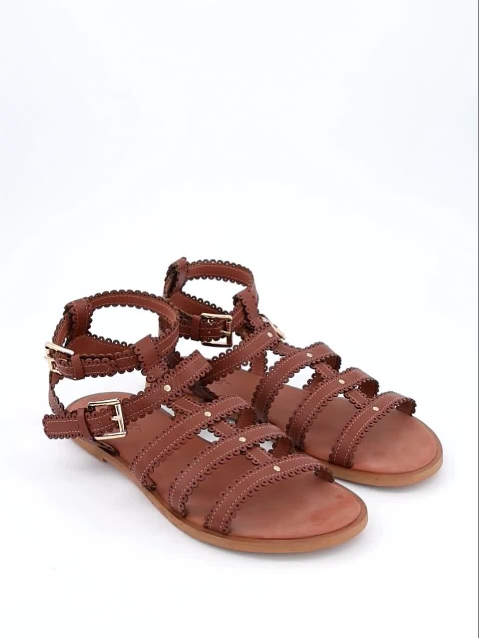 Video of the-very-collection-scalloped-gladiator