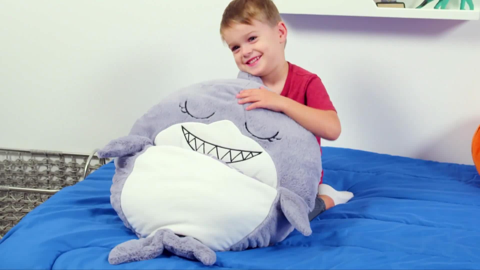 Video of happy-nappers-brown-dog-medium-series-4