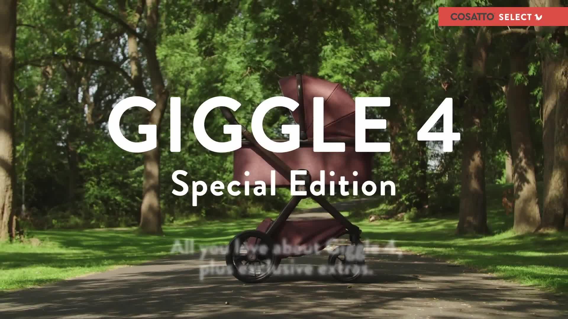 Image thumbnail 8 of 8 of Cosatto Giggle 4 Special Edition Everything Bundle - Skylark