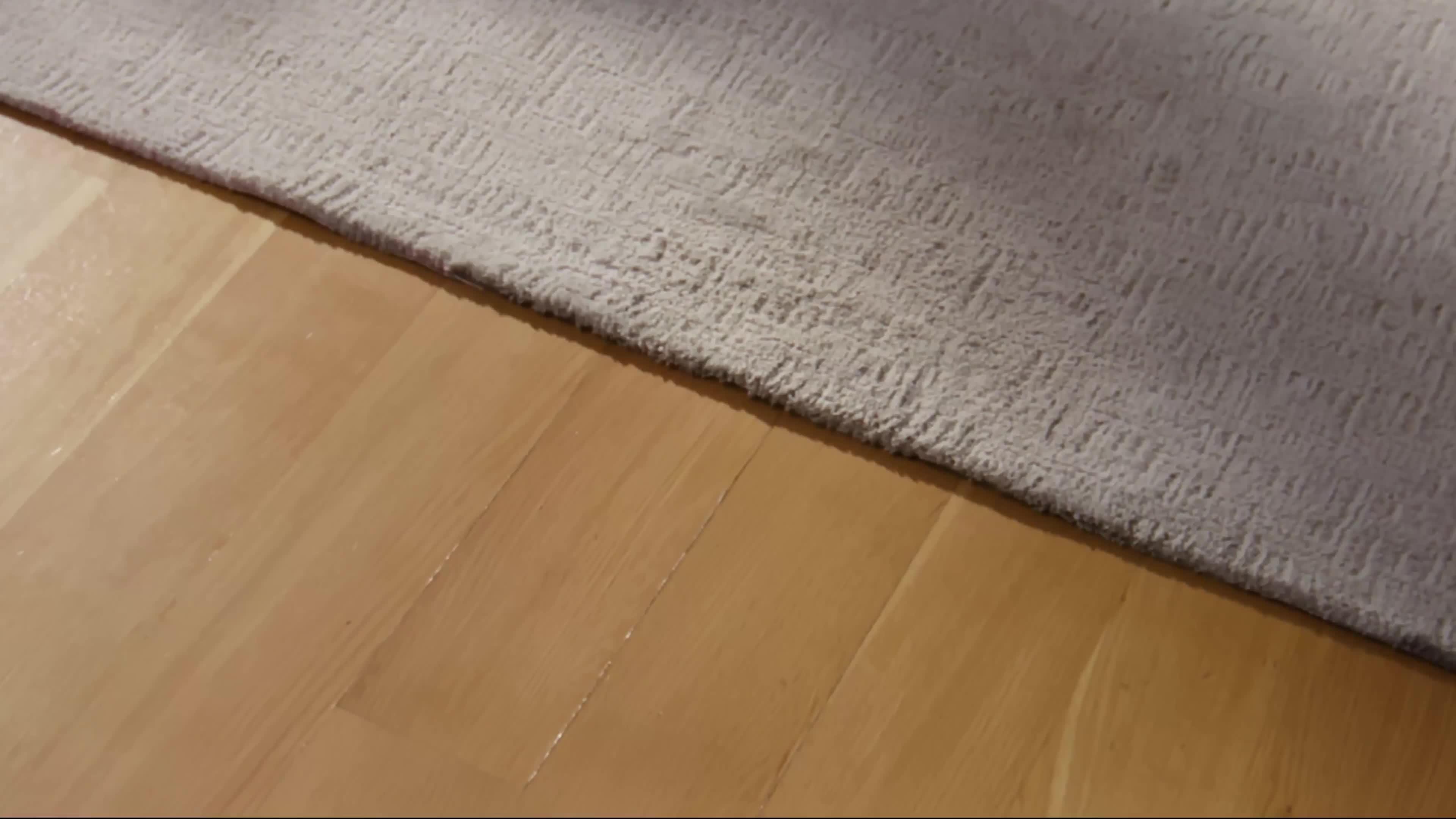 Video of shark-everymess-portable-3-in-1-stain-eliminator-wet-vac-amp-dry-vac-vx110uk
