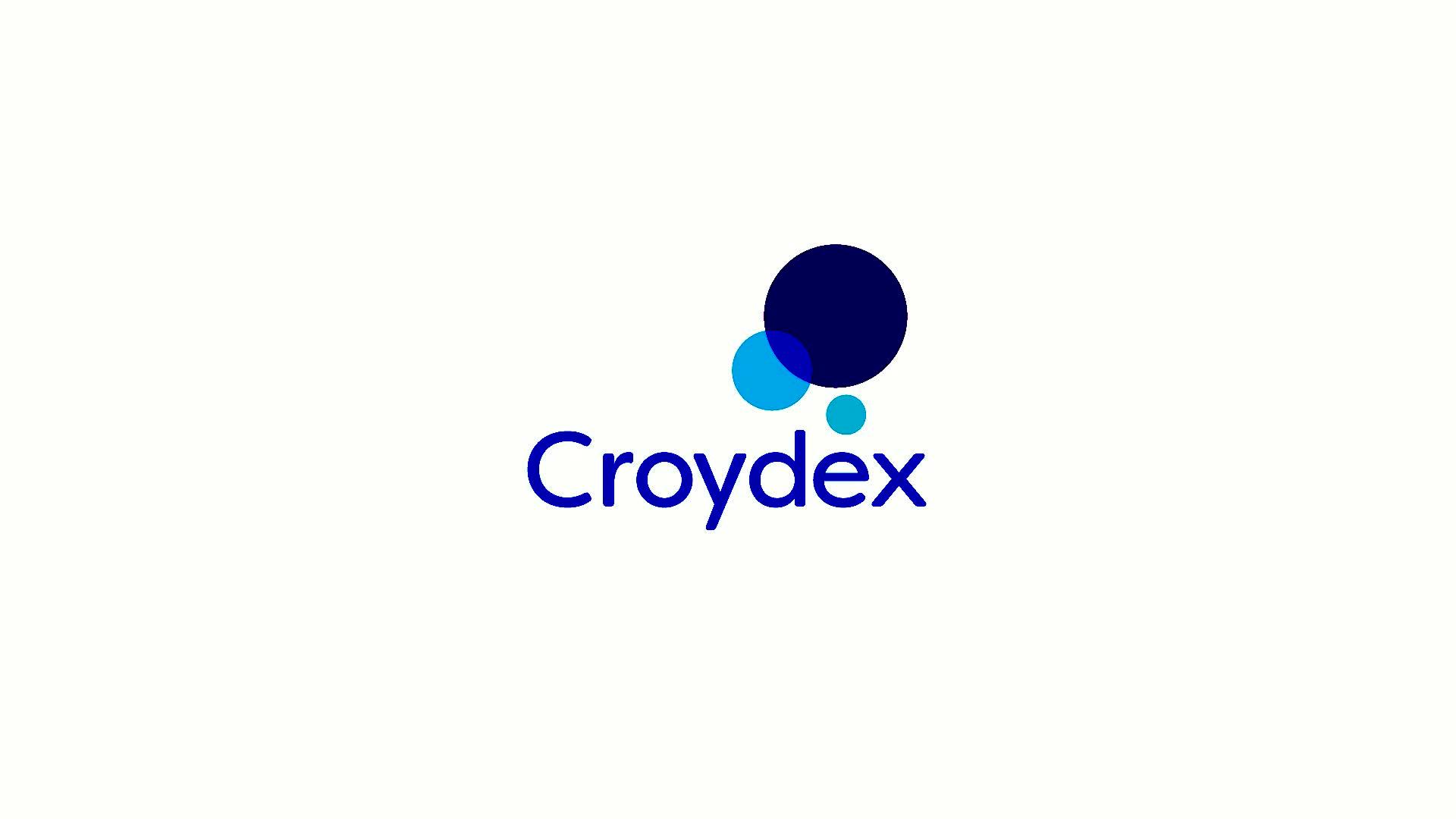 Video of croydex-gold-hook-over-shower-caddy