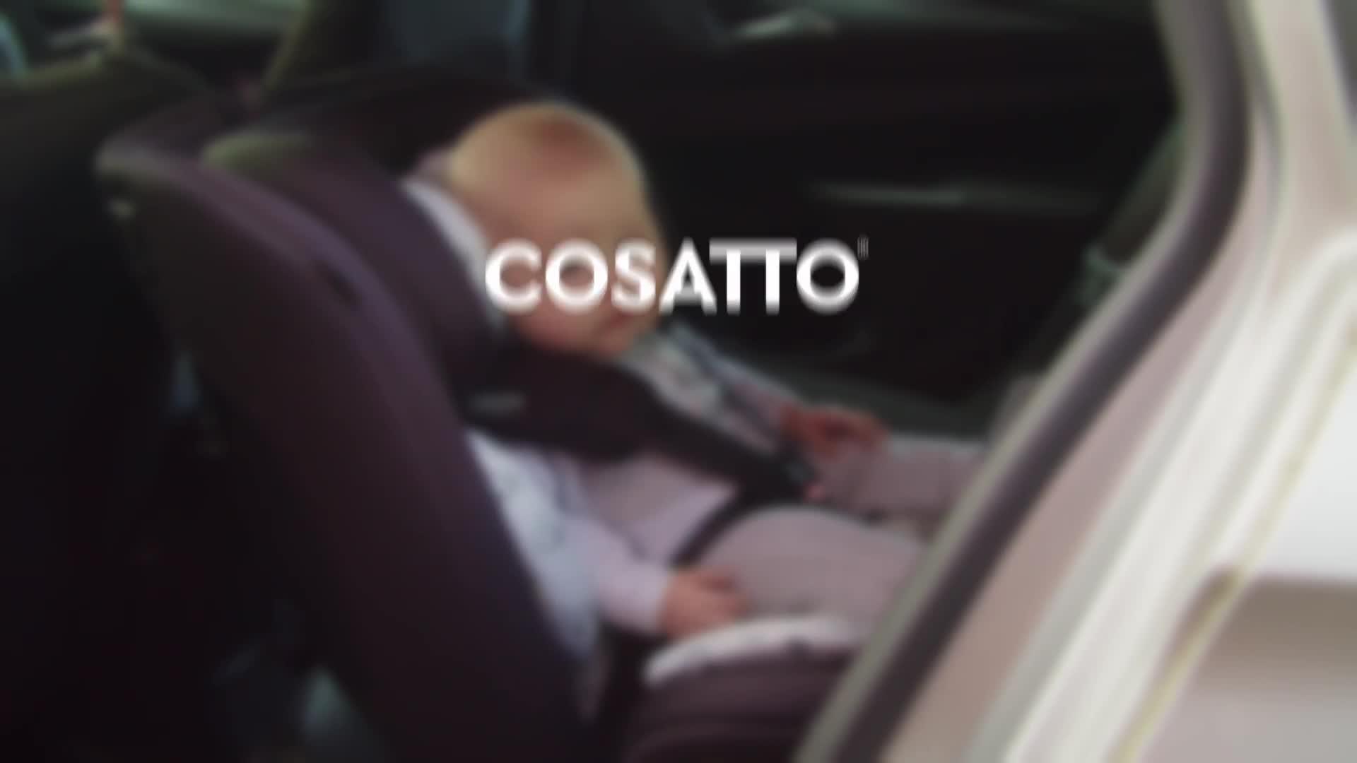 Image thumbnail 8 of 8 of Cosatto Get Set Grow Car Seat - Hoglet